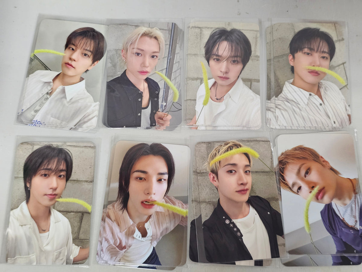 Stray Kids THIS & THAT SOUNDWAVE POP-UP (SPARE SET)